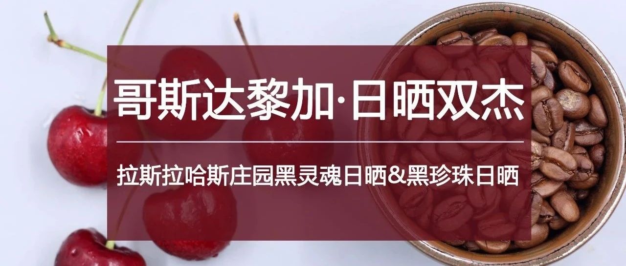.折入手"日晒双杰"，这下要火了！