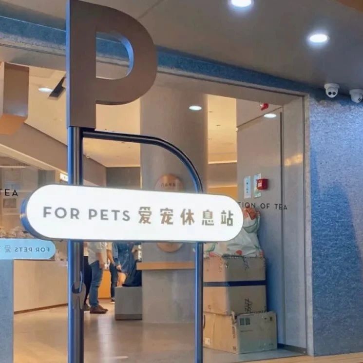 喜茶宠物友好店来了，甚至能给猫狗相亲？