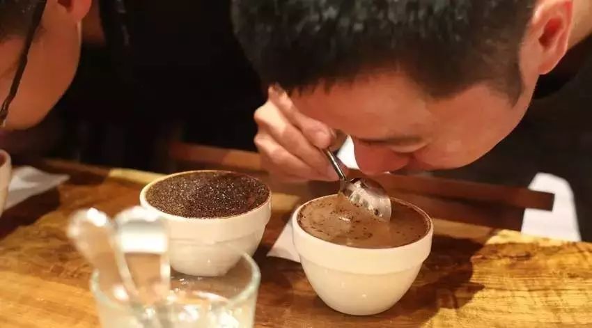 专业咖啡杯测指南