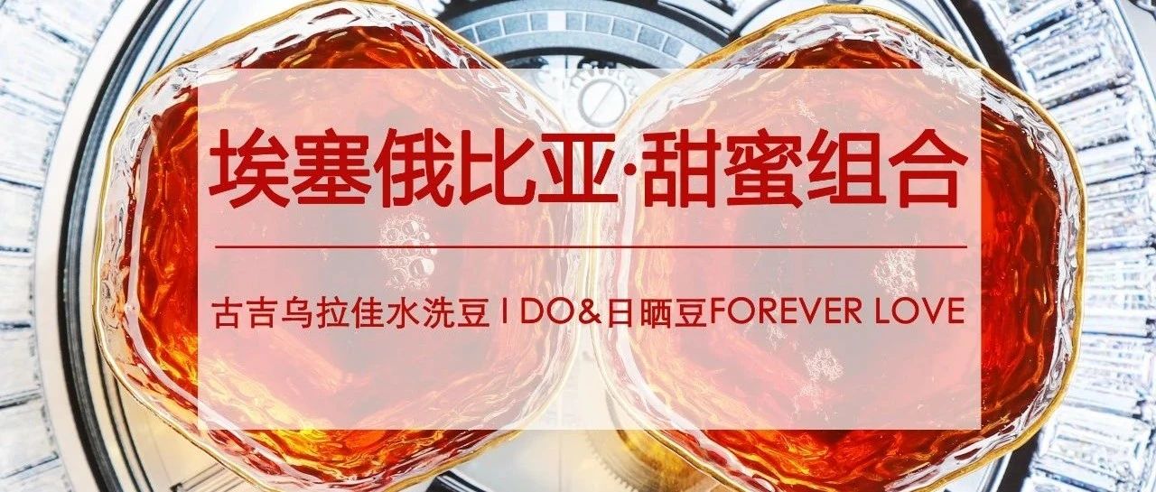 双表白神豆来了，第包半价抢先入手！