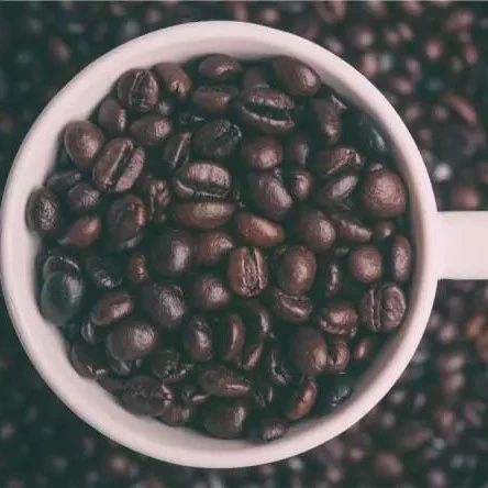 咖啡豆出油究竟是好是坏？咖啡油与烘焙萃取的学问