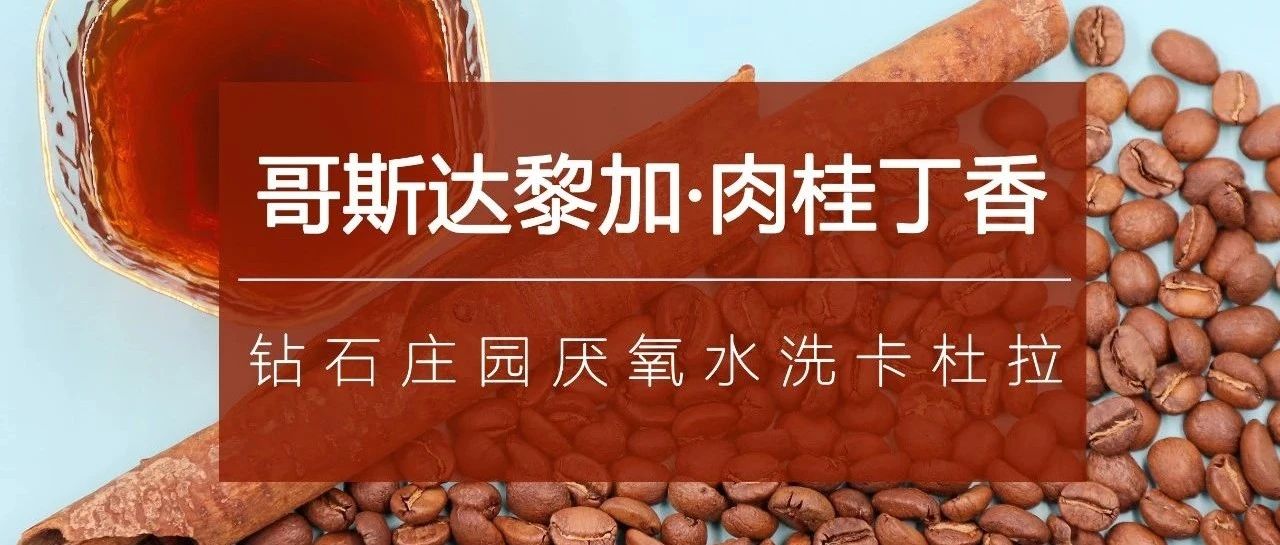 又神仙宝豆上线， 折限时尝鲜特惠！