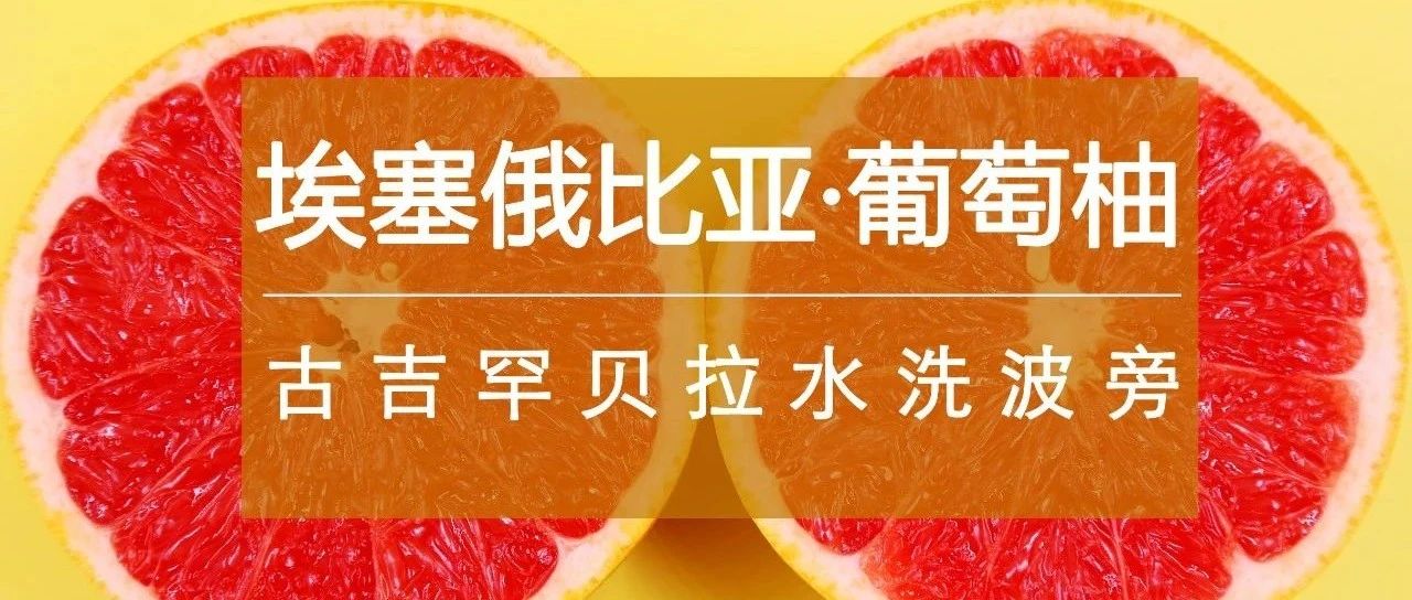 又一爆款豆上线>第包半价，咖啡控都入手了！