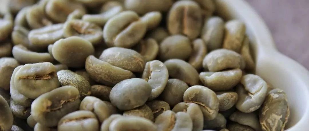 如何选购咖啡生豆？怎样通过观察生豆外观判断品质？