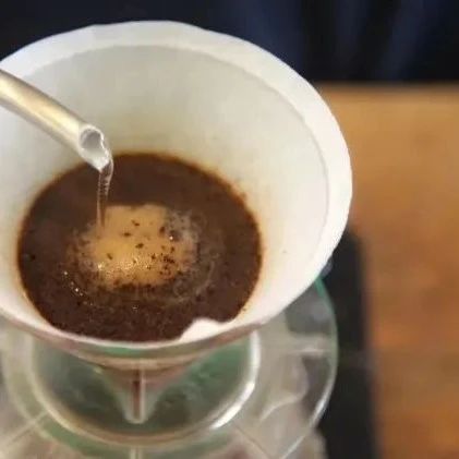 咖啡知识 | 猫屎咖啡豆品种特点