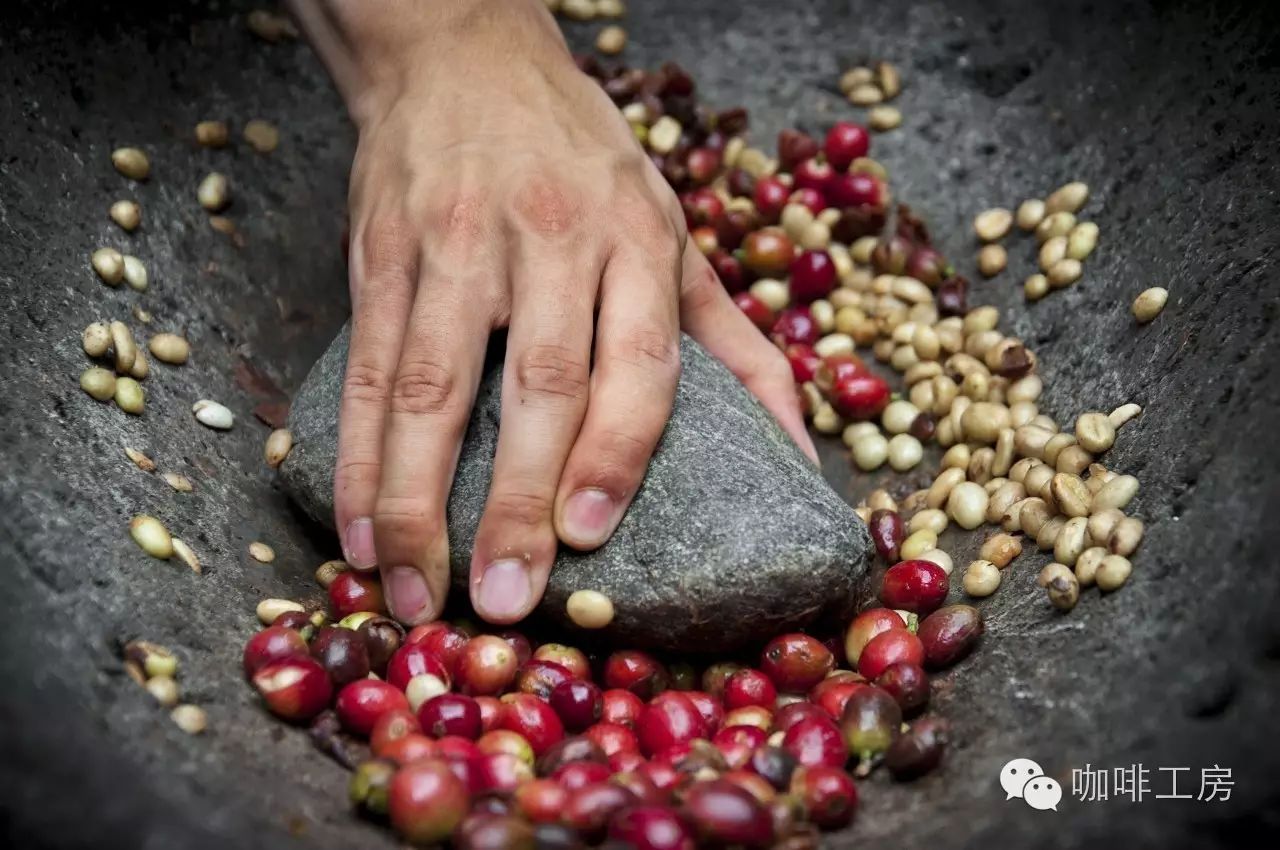 【咖啡产地】哥伦比亚产区及哥伦比亚庄园介绍