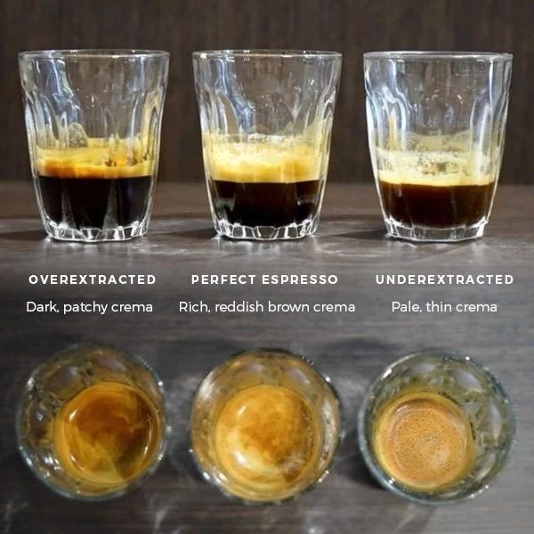 如何判断Espresso意式浓缩咖啡的萃取品质？