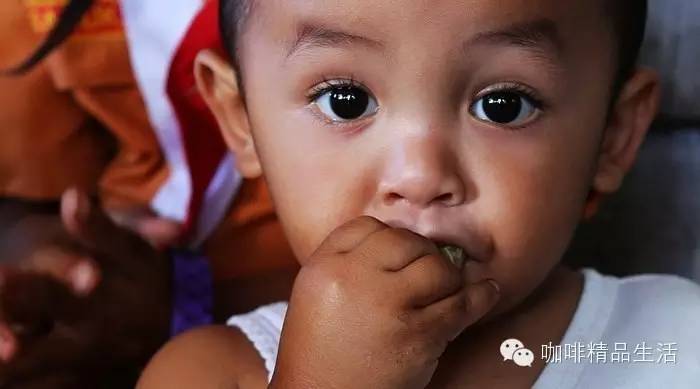 印尼：咖啡之外，人文大片，有人看哭了……