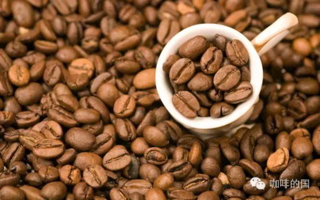 Peaberry圆豆