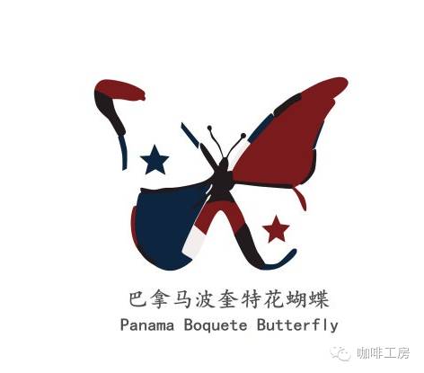 咖啡工房大词典【巴拿马波奎特花蝴蝶】精品咖啡豆