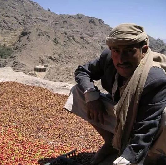咖啡传播第一站：也门咖啡产区介绍