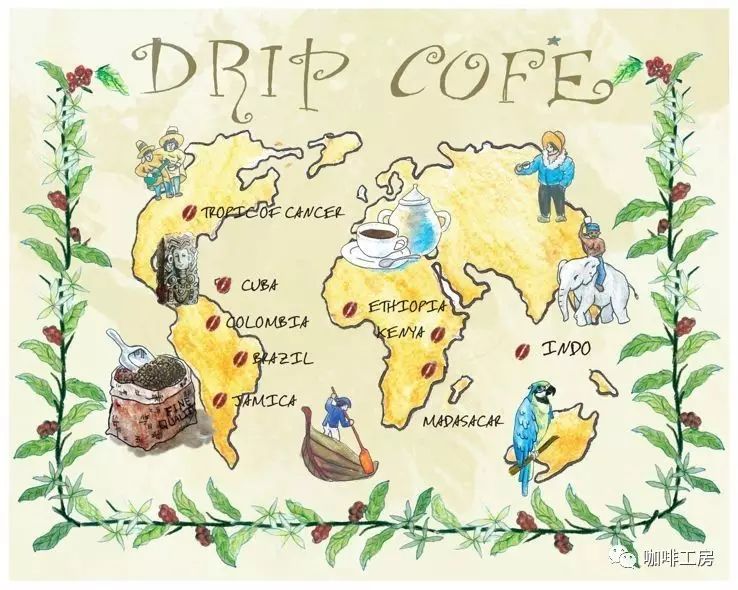 一篇文章解读美洲豆、非洲豆、亚洲豆的单品咖啡豆风味