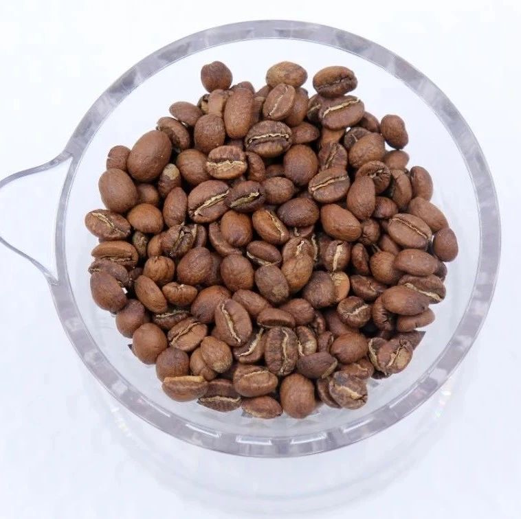 好豆推荐 |   . 元抢云南好咖啡，值得一试！