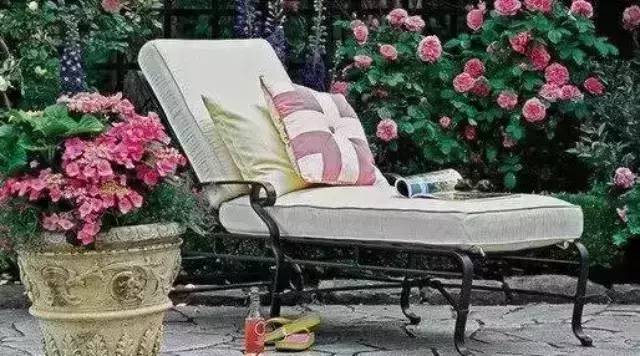 今日立春，宜做春梦