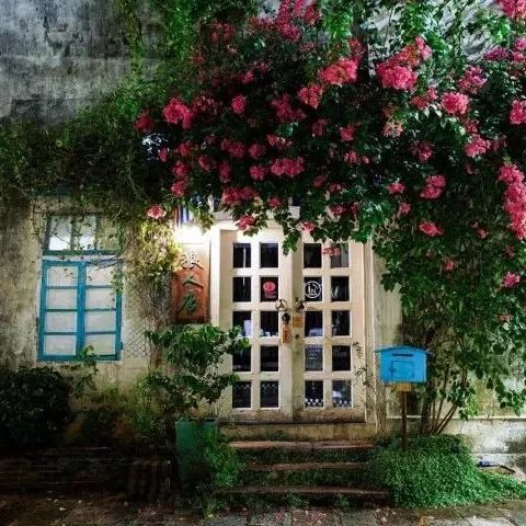 虹吸控不容错过好店 | 中山·粉丝基地NO.  -狼人咖啡店