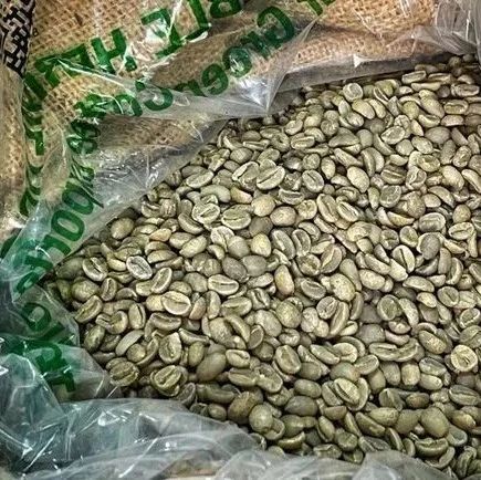 世界上最贵的猫屎咖啡已抵达上海口岸！