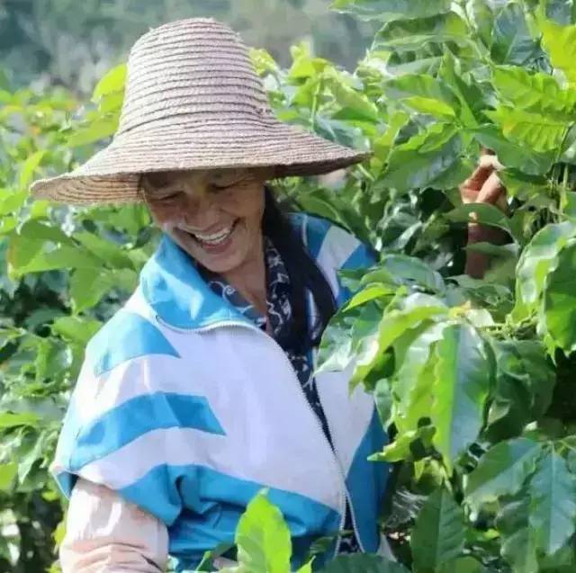 咖农面孔：带你进入真实震撼的啡人世界！