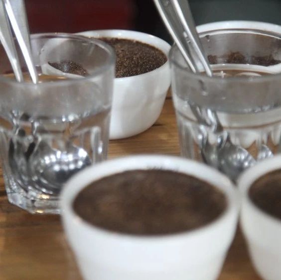不同烘焙程度的「日晒耶加」咖啡风味表现对比