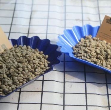 肯尼亚咖啡产区对比 | 相似的烘焙曲线，能烘出相同的风味吗？