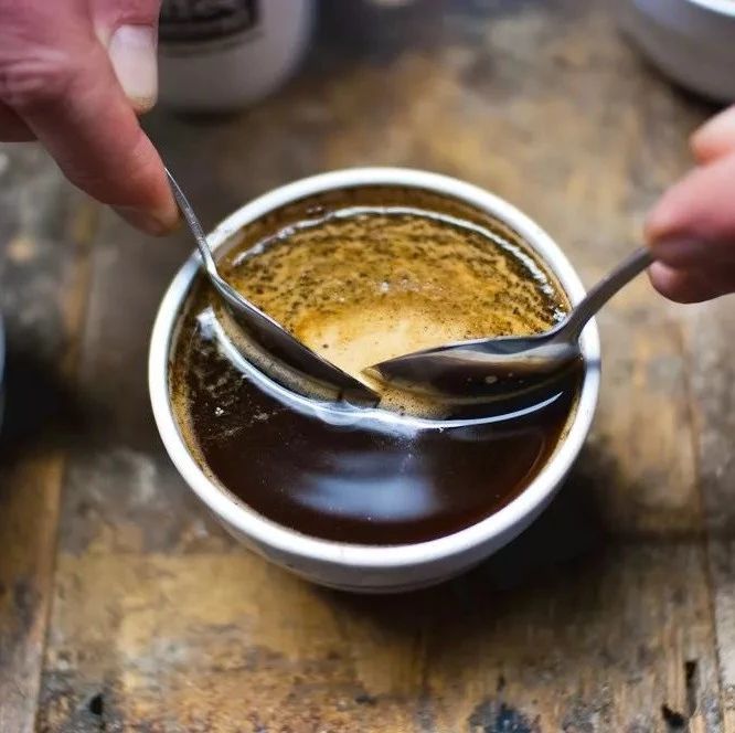 解读SCAA杯测表 | 如何进行咖啡品质评鉴Coffee Cupping？