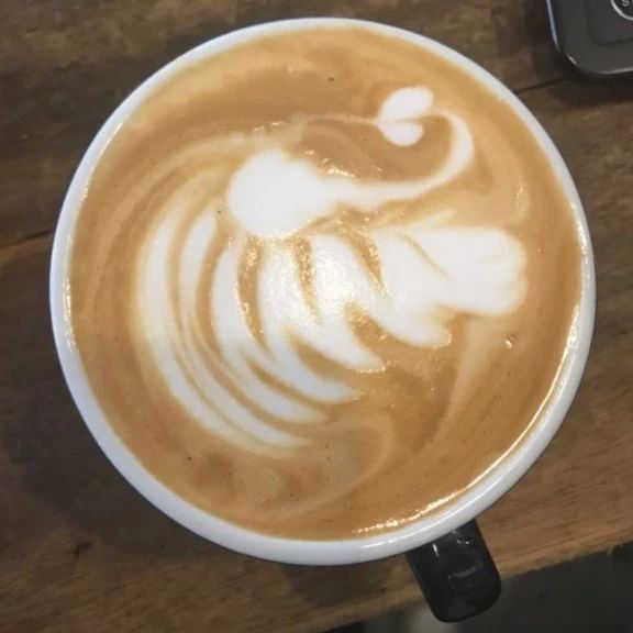 咖啡师小姐姐的【小天鹅】拉花教程！拉【小天鹅】需要注意什么？