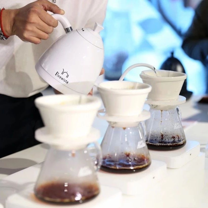 本周最火的只咖啡豆，手冲玩家都在喝！