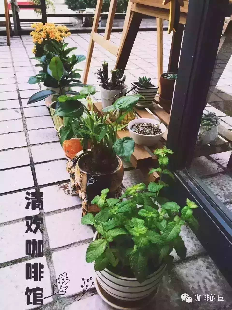 【西安咖啡馆推荐】清欢咖啡馆