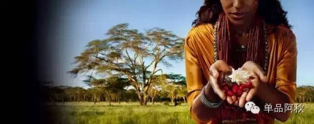 咖啡文化 | 咖啡的发源地—埃塞俄比亚