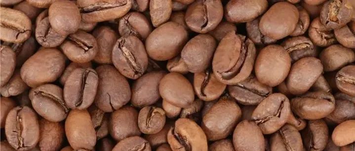 为什么要养豆？新鲜烘焙咖啡豆怎么养豆比较好？