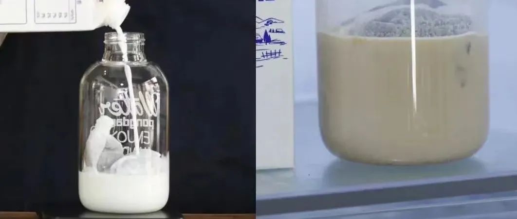 假如用牛奶代替水制作冷萃咖啡是否可行？