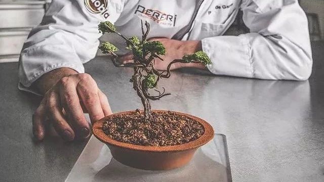 跪！服！装饰界又双叒叕现神作：他靠做“植物蛋糕”晋为《so good..》新宠...