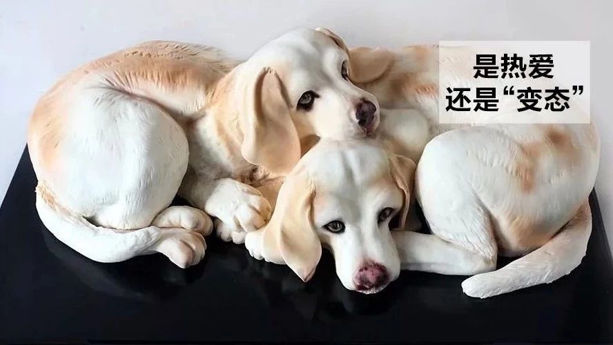 蛋糕做得太逼真，她被骂“变态”，一刀切下去，网友：你这是在虐待动物！