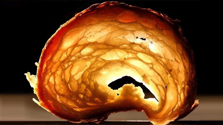 看完超清晰！史上最全面包分类大全出炉