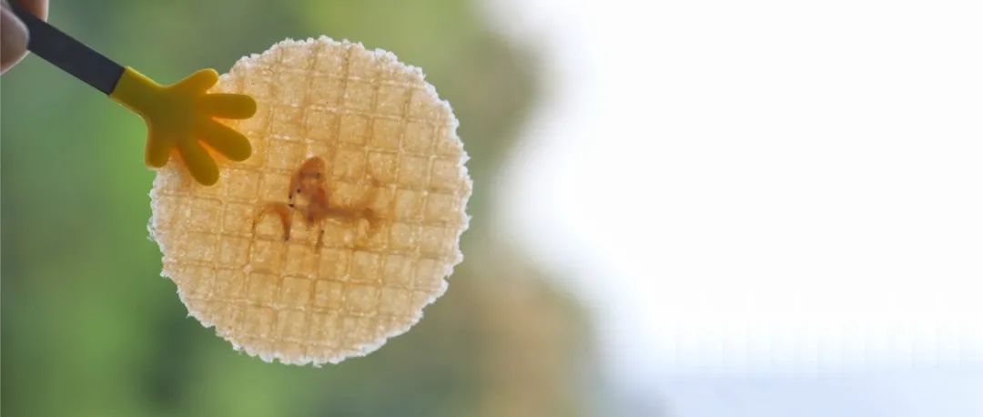 大轩辅食｜这不就是你们等了半年的——不止虾片？