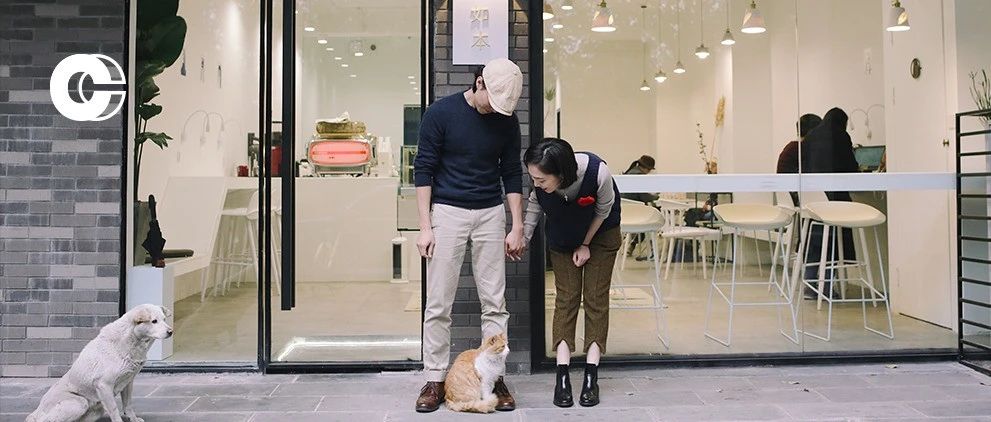 辞职开咖啡馆，拍vlog俘获w+粉丝，这对 年情侣把生活过成梦想成真的样子